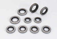 PTFE Seals