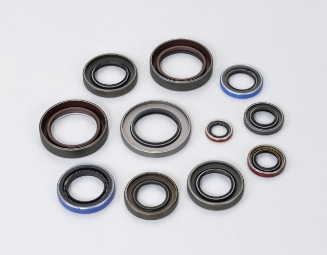 PTFE Seals