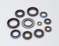 PTFE Seals