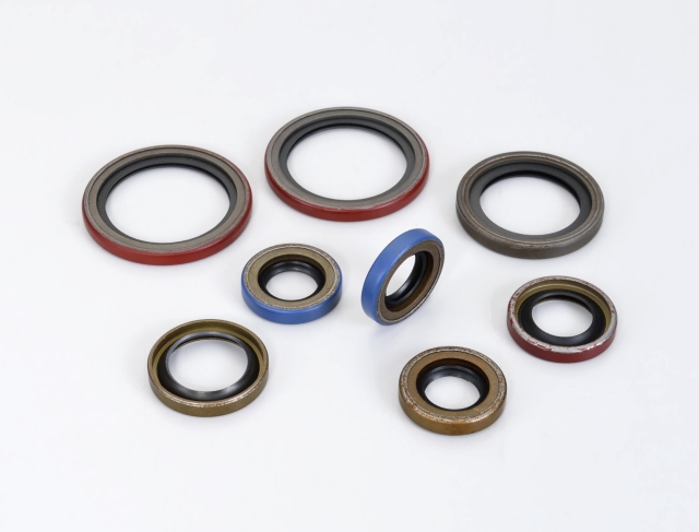 PTFE Seals