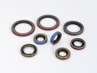 PTFE Seals