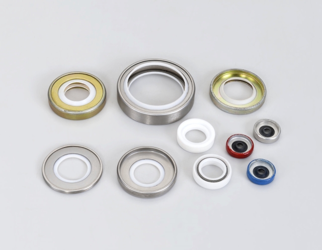 PTFE Seals