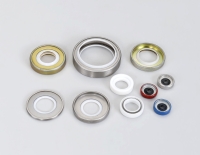 PTFE Seals