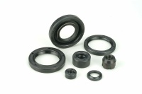 Oil Seals III