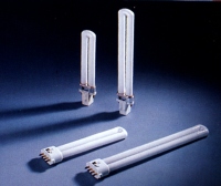 Compact Fluorescent Lamp  