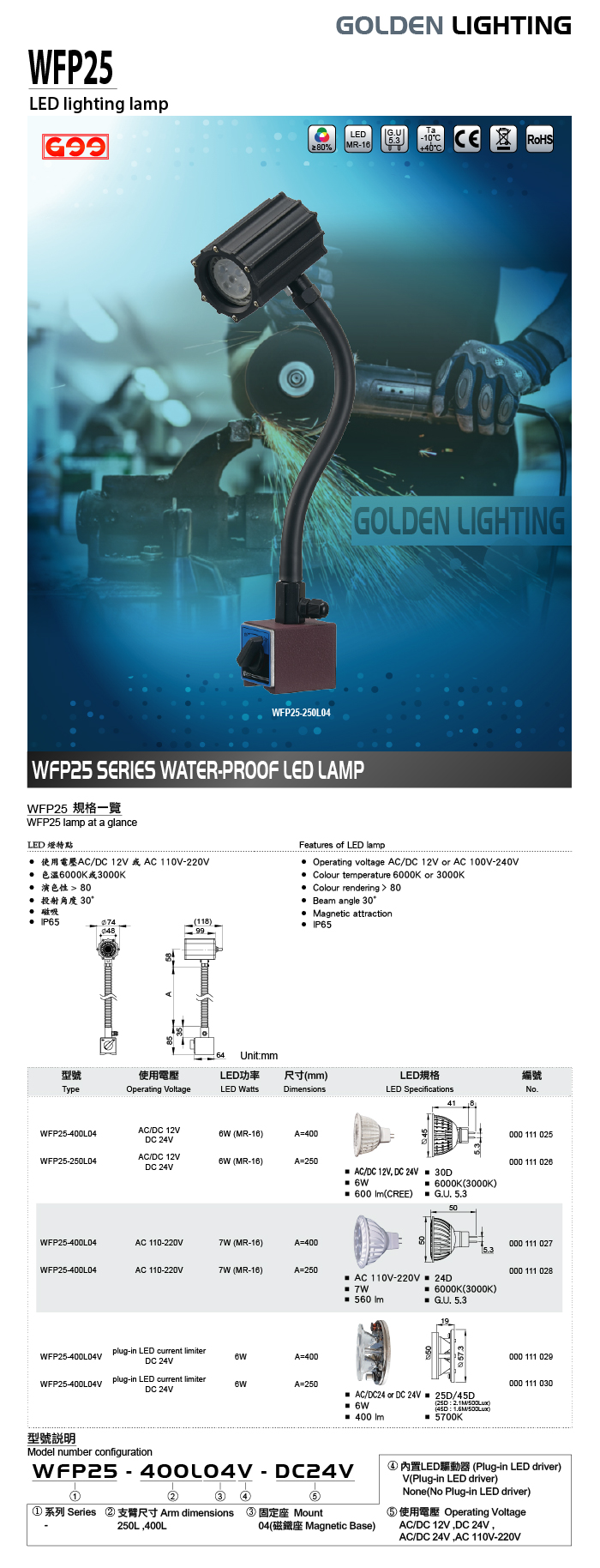WFP25 WATER-PROOF LED LAMP