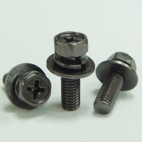 Hex Head Phillip Recess Machine Screw with Spring and Flat Washer