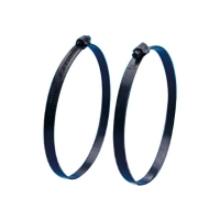 Worm Drive Hose Clamps Special Surface Treatment Worm Drive Hose Clamps Special Surface Treatment