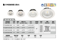 COB投射坎灯 (防水)