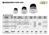 COB DOWNLIGHT - M SERIES