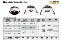 COB DOWNLIGHT - T SERIES