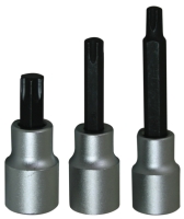 BIT SOCKET