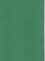 Wood Grain Decorative Paper/Melamine Paper/PVC/PETG Film- Spring Wood Grain Decorative Paper/Melamine Paper/PVC/PETG Film- Spring