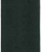 Wood Grain Decorative Paper/Melamine Paper/PVC/PETG Film- Spring Wood Grain Decorative Paper/Melamine Paper/PVC/PETG Film- Spring