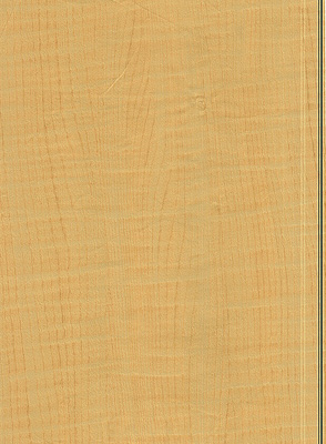 Wood Grain Decorative Paper/Melamine Paper/PVC/PETG Film- Maple