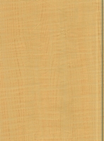 Wood Grain Decorative Paper/Melamine Paper/PVC/PETG Film- Maple Wood Grain Decorative Paper/Melamine Paper/PVC/PETG Film- Maple