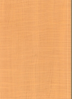 Wood Grain Decorative Paper/Melamine Paper/PVC/PETG Film- Maple Wood Grain Decorative Paper/Melamine Paper/PVC/PETG Film- Maple