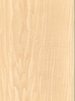 Wood Grain Decorative Paper/Melamine Paper/PVC/PETG Film- Shine Maple