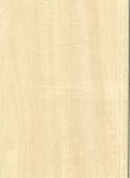 Wood Grain Decorative Paper/Melamine Paper/PVC/PETG Film- Maplee