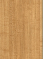 Wood Grain Decorative Paper/Melamine Paper/PVC/PETG Film- Maple Plank