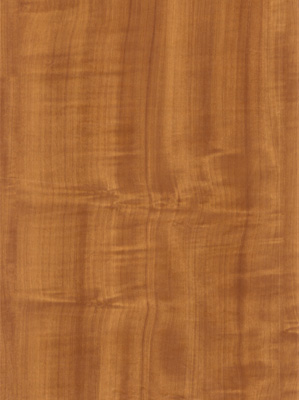 Wood Grain Decorative Paper/Melamine Paper/PVC/PETG Film- Maple