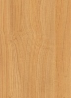 Wood Grain Decorative Paper/Melamine Paper/PVC/PETG Film- Maple