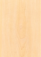 Wood Grain Decorative Paper/Melamine Paper/PVC/PETG Film- Maple