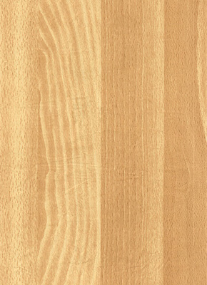 Wood Grain Decorative Paper/Melamine Paper/PVC/PETG Film- Beech Wood Grain Decorative Paper/Melamine Paper/PVC/PETG Film- Beech