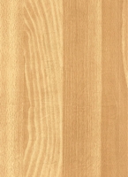 Wood Grain Decorative Paper/Melamine Paper/PVC/PETG Film- Beech
