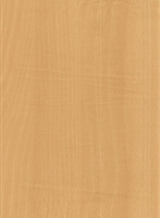Wood Grain Decorative Paper/Melamine Paper/PVC/PETG Film- Beech