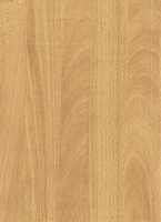 Wood Grain Decorative Paper/Melamine Paper/PVC/PETG Film- Beech Wood Grain Decorative Paper/Melamine Paper/PVC/PETG Film- Beech