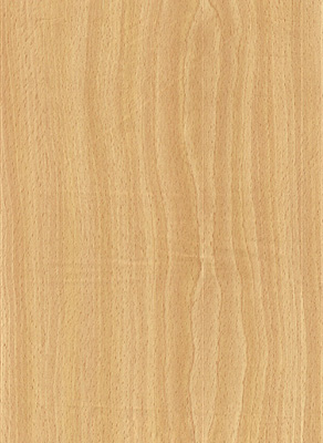Wood Grain Decorative Paper/Melamine Paper/PVC/PETG Film- Beech