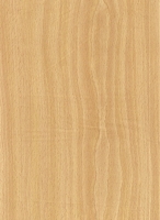 Wood Grain Decorative Paper/Melamine Paper/PVC/PETG Film- Beech