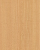 MS-5738