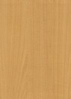 Wood Grain Decorative Paper/Melamine Paper/PVC/PETG Film- Beech
