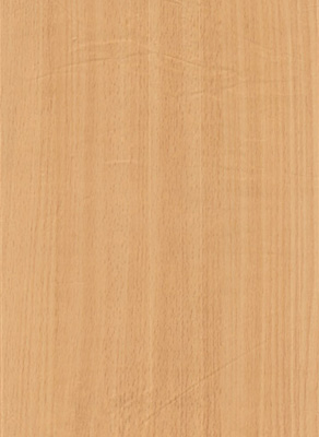 Wood Grain Decorative Paper/Melamine Paper/PVC/PETG Film- Beech Wood Grain Decorative Paper/Melamine Paper/PVC/PETG Film- Beech