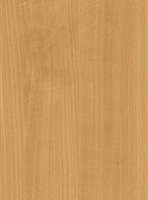 Wood Grain Decorative Paper/Melamine Paper/PVC/PETG Film- Beech