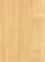 Wood Grain Decorative Paper/Melamine Paper/PVC/PETG Film- Beech