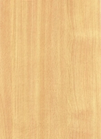 Wood Grain Decorative Paper/Melamine Paper/PVC/PETG Film- Beech Wood Grain Decorative Paper/Melamine Paper/PVC/PETG Film- Beech