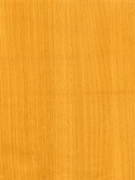 Wood Grain Decorative Paper/Melamine Paper/PVC/PETG Film- Beech Wood Grain Decorative Paper/Melamine Paper/PVC/PETG Film- Beech