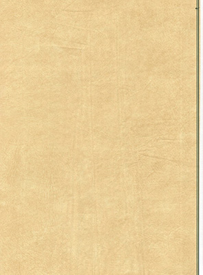 Wood Grain Decorative Paper/Melamine Paper/PVC/PETG Film- Leather