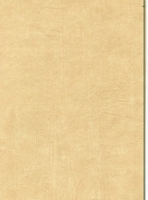 Wood Grain Decorative Paper/Melamine Paper/PVC/PETG Film- Leather Wood Grain Decorative Paper/Melamine Paper/PVC/PETG Film- Leather