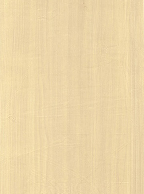 Wood Grain Decorative Paper/Melamine Paper/PVC/PETG Film- Cherry