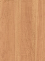 Wood Grain Decorative Paper/Melamine Paper/PVC/PETG Film- Cherry