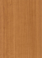 Wood Grain Decorative Paper/Melamine Paper/PVC/PETG Film- Cherry