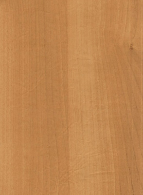 Wood Grain Decorative Paper/Melamine Paper/PVC/PETG Film- Walnut Wood Grain Decorative Paper/Melamine Paper/PVC/PETG Film- Walnut