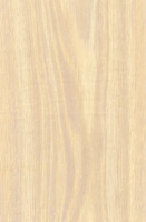 Wood Grain Decorative Paper/Melamine Paper/PVC/PETG Film- White Oak