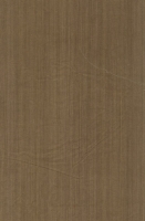 Wood Grain Decorative Paper/Melamine Paper/PVC/PETG Film- Woody Line