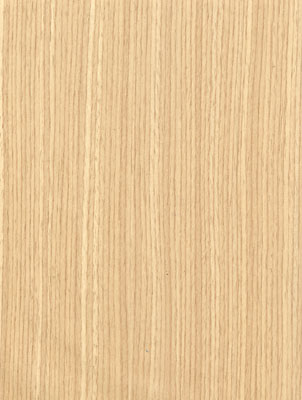 Wood Grain Decorative Paper/Melamine Paper/PVC/PETG Film- Woody Line Wood Grain Decorative Paper/Melamine Paper/PVC/PETG Film- Woody Line