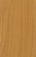 Wood Grain Decorative Paper/Melamine Paper/PVC/PETG Film- Sen Spirit